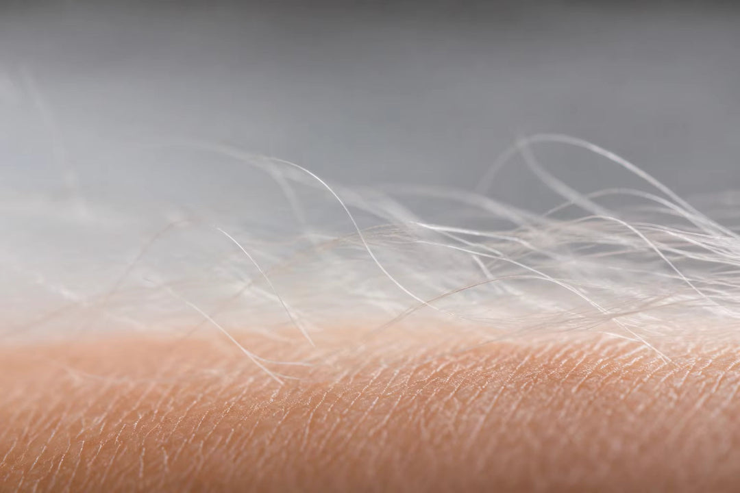 The Science of Softness Banner
